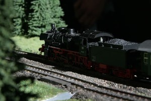 ThybussekIMG 3857